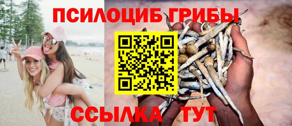 Галлюциногенные грибы прущие грибы  Вход с VPN  Асино 